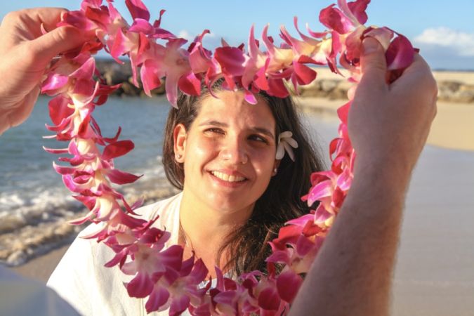 hawaiian island cruises sightseeing tours hawaii