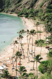 hawaii tours dinner cruise packages & excursions